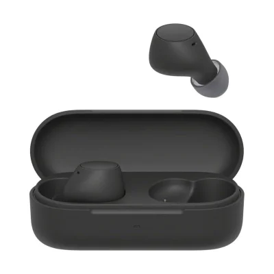 Sony WF-C510 Truly Wireless In-Ear Bluetooth Earbuds, Multipoint, IPX4, 22hr - Black/Blue