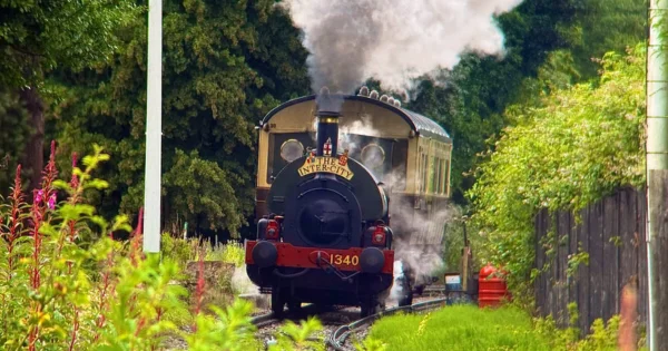 Didcot Railway Centre Family Pass (Family of Four)