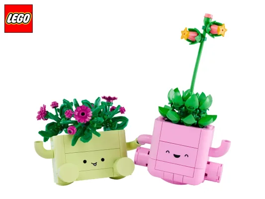 LEGO Botanicals Rocking Plants Play Set 11506