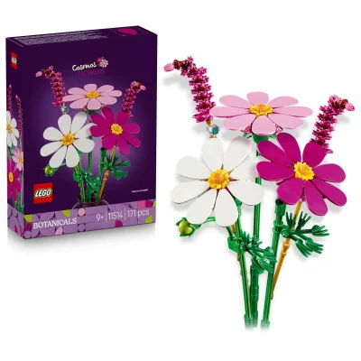 2x LEGO Botanicals Cosmos Flowers 11514 / NINJAGO Zilvar & Grimtak Dragon Beast 71863 / DUPLO Disney Frozen Creative Box 10462