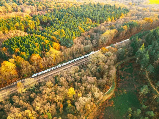 Free Return Train Travel for Veterans Attending Remembrance Services (7-8 Nov) + RBL Volunteers for Poppy Day