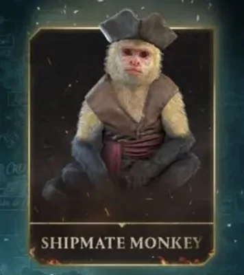 Assassin's Creed Black Flag Resynced Shipmate Monkey Ship Companion Reward